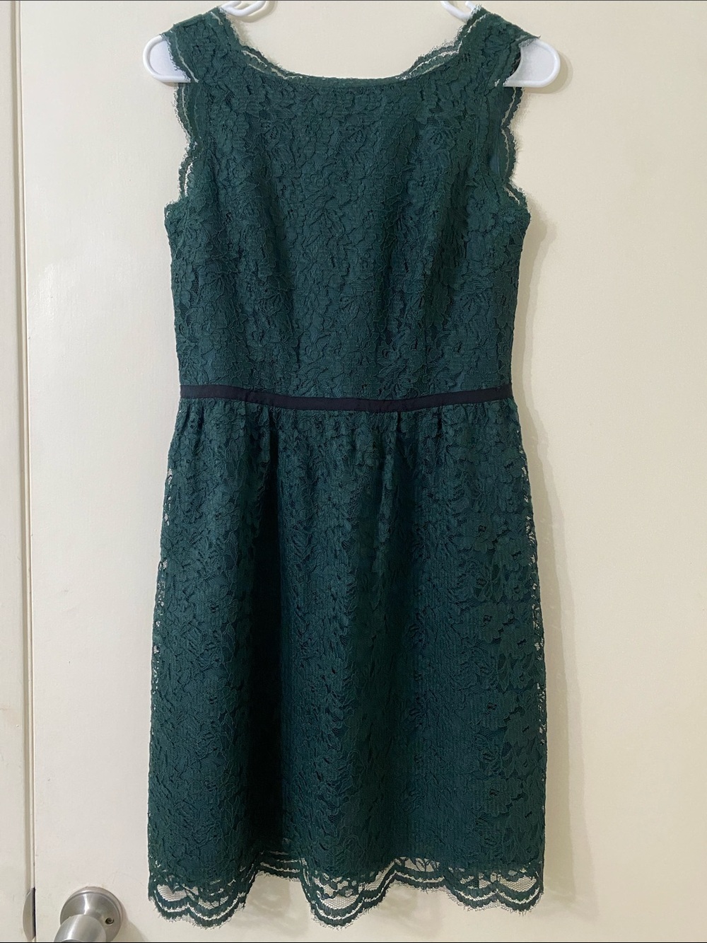 LOFT Emerald Green Lace Sleeveless Fit-and-Flare Dress